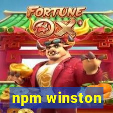 npm winston